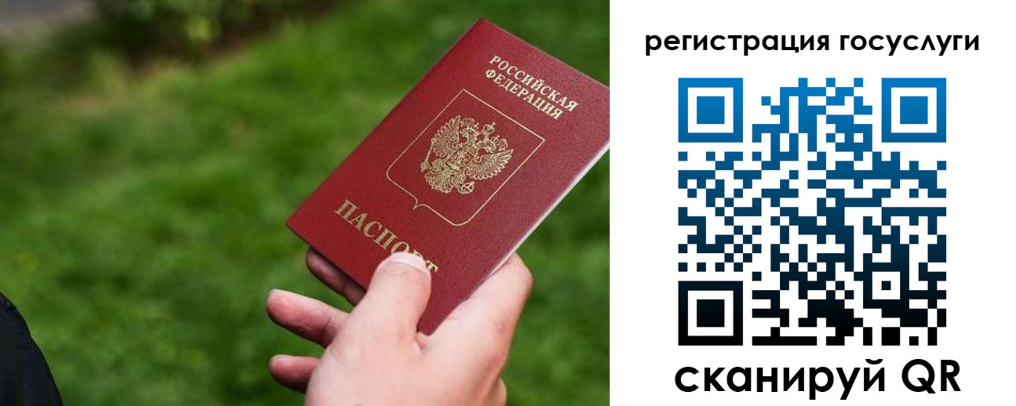временная регистрация в Асино